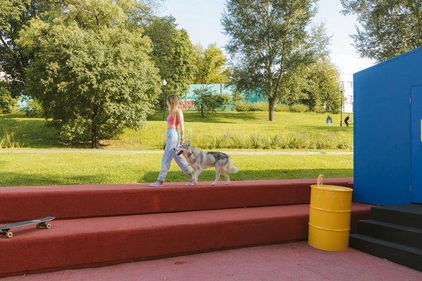 Comment apprendre à mon chien à rester calme lors de situations stressantes ?